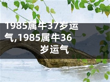 1985属牛37岁运气,1985属牛36岁运气