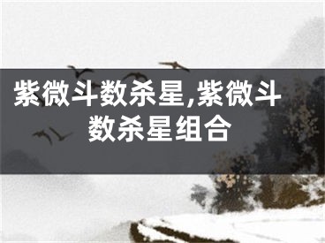 紫微斗数杀星,紫微斗数杀星组合