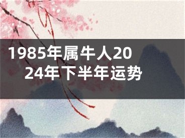 1985年属牛人2024年下半年运势