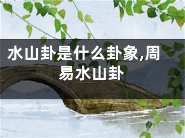 水山卦是什么卦象,周易水山卦