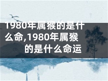 1980年属猴的是什么命,1980年属猴的是什么命运