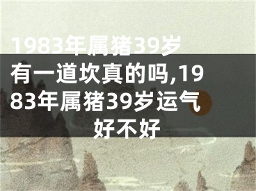 1983年属猪39岁有一道坎真的吗,1983年属猪39岁运气好不好