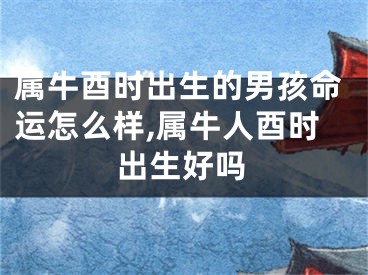 属牛酉时出生的男孩命运怎么样,属牛人酉时出生好吗