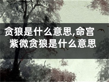 贪狼是什么意思,命宫紫微贪狼是什么意思