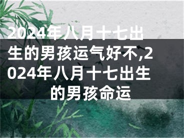 2024年八月十七出生的男孩运气好不,2024年八月十七出生的男孩命运