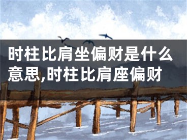 时柱比肩坐偏财是什么意思,时柱比肩座偏财