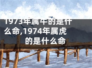 1973年属牛的是什么命,1974年属虎的是什么命