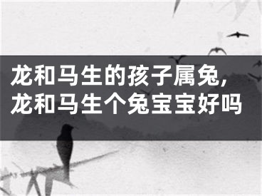 龙和马生的孩子属兔,龙和马生个兔宝宝好吗