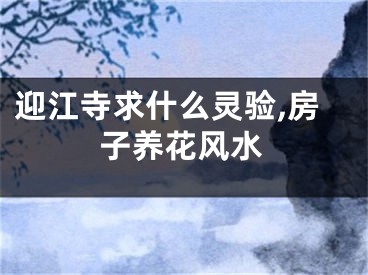 迎江寺求什么灵验,房子养花风水