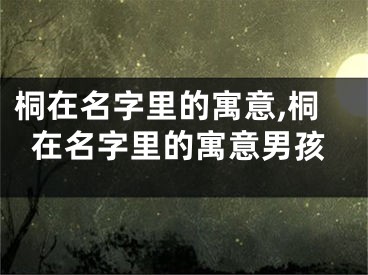 桐在名字里的寓意,桐在名字里的寓意男孩