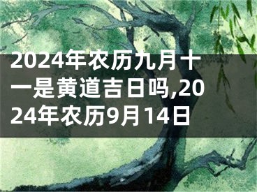 2024年农历九月十一是黄道吉日吗,2024年农历9月14日