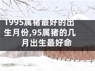 1995属猪最好的出生月份,95属猪的几月出生最好命