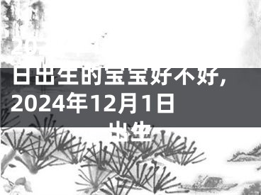 2024年12月24日出生的宝宝好不好,2024年12月1日出生