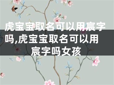 虎宝宝取名可以用宸字吗,虎宝宝取名可以用宸字吗女孩