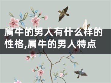 属牛的男人有什么样的性格,属牛的男人特点