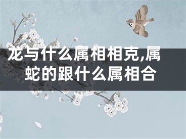 龙与什么属相相克,属蛇的跟什么属相合