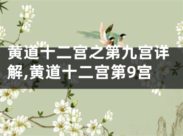 黄道十二宫之第九宫详解,黄道十二宫第9宫