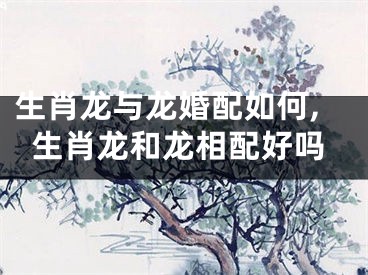 生肖龙与龙婚配如何,生肖龙和龙相配好吗