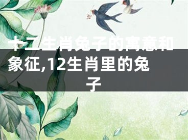 十二生肖兔子的寓意和象征,12生肖里的兔子