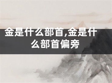 金是什么部首,金是什么部首偏旁