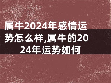 属牛2024年感情运势怎么样,属牛的2024年运势如何