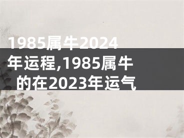 1985属牛2024年运程,1985属牛的在2023年运气