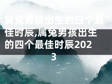 属兔男孩出生的四个最佳时辰,属兔男孩出生的四个最佳时辰2023
