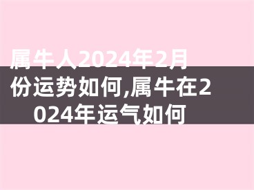 属牛人2024年2月份运势如何,属牛在2024年运气如何