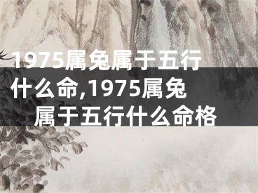 1975属兔属于五行什么命,1975属兔属于五行什么命格