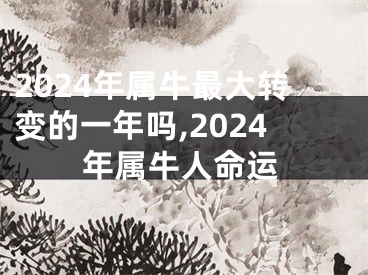 2024年属牛最大转变的一年吗,2024年属牛人命运