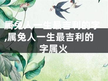 属兔人一生最吉利的字,属兔人一生最吉利的字属火