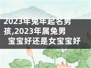 2023年兔年起名男孩,2023年属兔男宝宝好还是女宝宝好