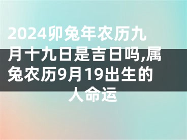 2024卯兔年农历九月十九日是吉日吗,属兔农历9月19出生的人命运