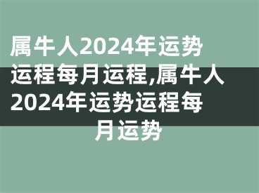 属牛人2024年运势运程每月运程,属牛人2024年运势运程每月运势