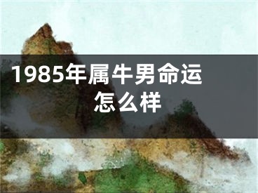1985年属牛男命运怎么样
