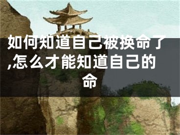 如何知道自己被换命了,怎么才能知道自己的命