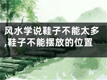 风水学说鞋子不能太多,鞋子不能摆放的位置