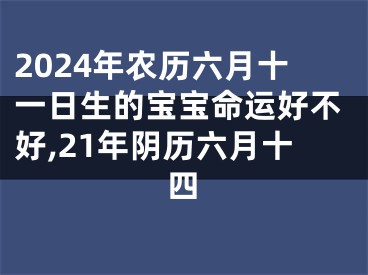 2024年农历六月十一日生的宝宝命运好不好,21年阴历六月十四