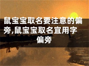鼠宝宝取名要注意的偏旁,鼠宝宝取名宜用字偏旁