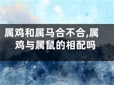 属鸡和属马合不合,属鸡与属鼠的相配吗