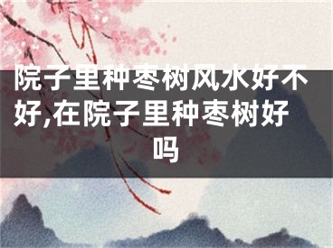院子里种枣树风水好不好,在院子里种枣树好吗