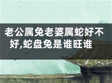 老公属兔老婆属蛇好不好,蛇盘兔是谁旺谁
