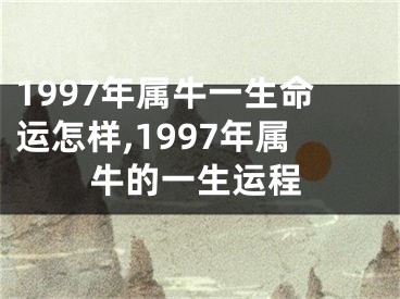 1997年属牛一生命运怎样,1997年属牛的一生运程