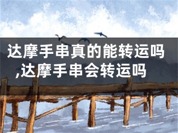 达摩手串真的能转运吗,达摩手串会转运吗