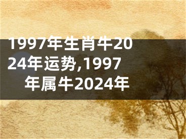 1997年生肖牛2024年运势,1997年属牛2024年