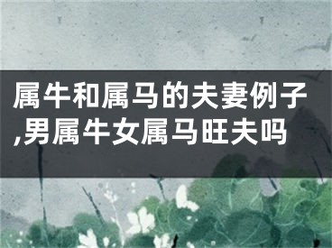 属牛和属马的夫妻例子,男属牛女属马旺夫吗