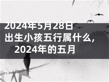 2024年5月28日出生小孩五行属什么,2024年的五月