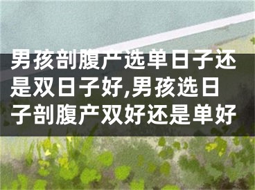 男孩剖腹产选单日子还是双日子好,男孩选日子剖腹产双好还是单好
