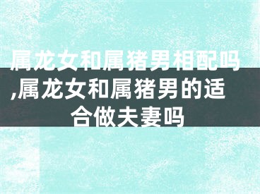 属龙女和属猪男相配吗,属龙女和属猪男的适合做夫妻吗