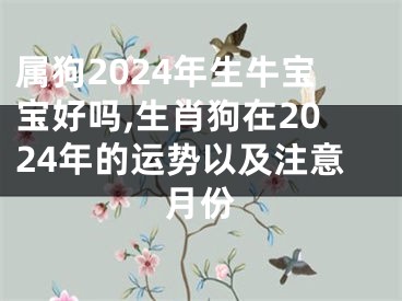 属狗2024年生牛宝宝好吗,生肖狗在2024年的运势以及注意月份